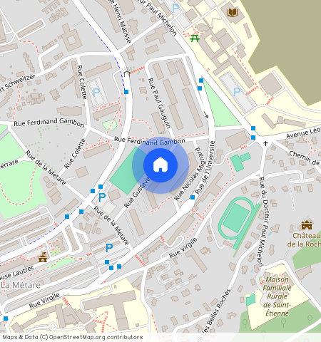 ** RUE GUSTAVE COURBET, 42100, St Etienne