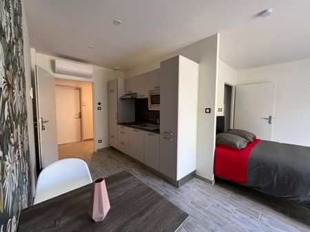 Location Appartement 1 pièce 30m² CARMAUX 81400 - Photo 5