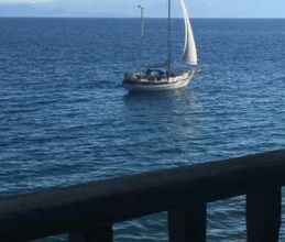 Διαμέρισμα για ενοικίαση - Αγριά, - Φωτογραφία 5