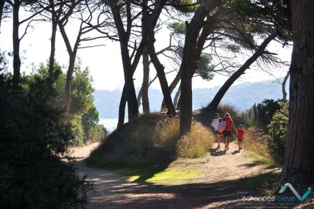 Villa pour 6 personnes à 100 mètres de la plage situé sur le Port d'Hyères - Photo 5