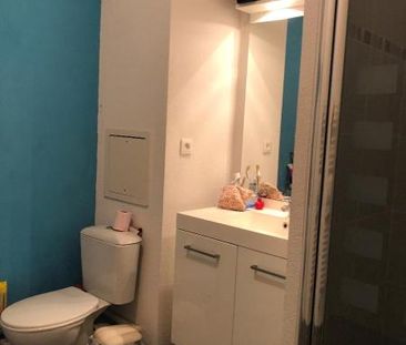 Location Appartement 1 pièce 26m² BRON 69500 - Photo 5