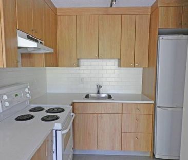 Newly Renovated 1 Bedroom at Pineview Place - Photo 2