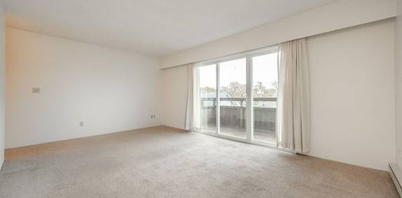 Antrim Court - 1 Bedroom - Available Now - Photo 2