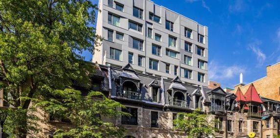 Studio - Montréal - $1,710 /mo - Photo 2