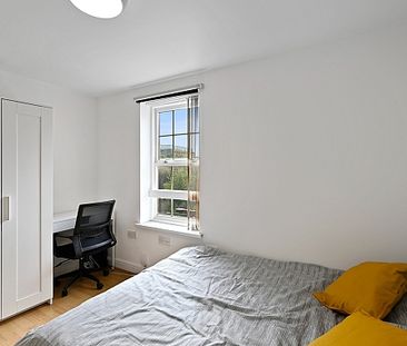 Renovated 3 Bedroom, 2 Bathroom Property Close to Uni! - Photo 4