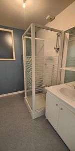 Location Appartement 1 pièce 40m² AIRE SUR L ADOUR 40800 - Photo 3