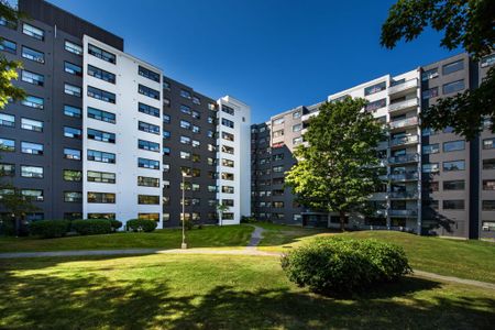 Silver Springs Park 1 - Photo 5