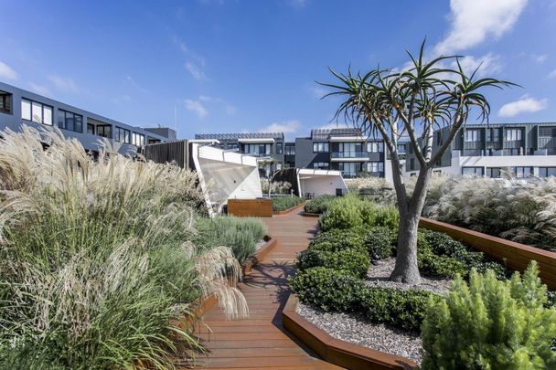 503E/72 MacDonald Street, Erskineville NSW 2043 - Apartment For Rent | Domain - Photo 1