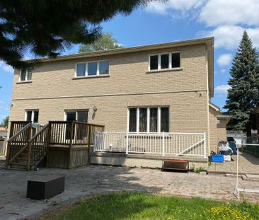 For Lease - 53 Havendale Road Unit# Basement, Toronto, Ontario - Photo 5