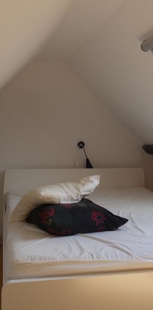 Duplex - Groendreef 132 - Photo 1