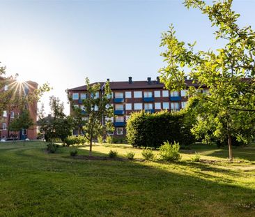 Ljuragatan 5 - Foto 6