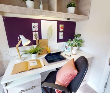 Gold Studio Plus - Photo 6