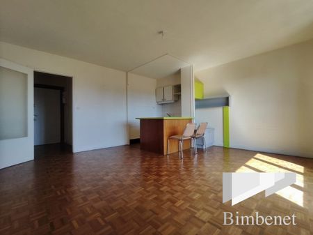 Appartement à louer, 1 pièce - Orléans 45100 - Photo 2
