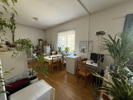 Prov-Frei - Dreihackengasse, nette Großgarconniere inkl. Küche zu vermieten nach Absprache - Photo 3