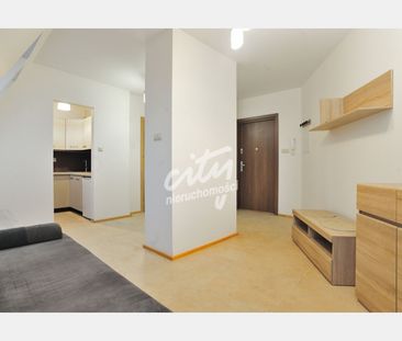 Szczecin - Zdjęcie 4