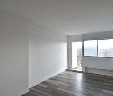 Condo for rent, Mont-Royal - Photo 2