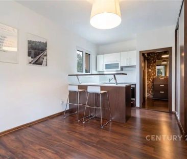 Pronájem zrekonstruovaného bytu 1+kk, 22 m - Fotografie 3