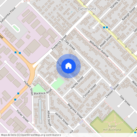 19 Oriana Street, Belmont