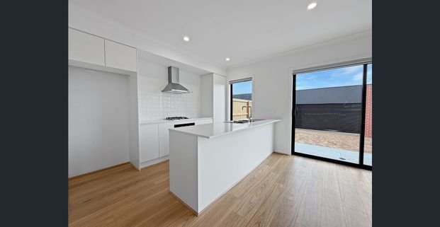 Just For You! - Photo 1