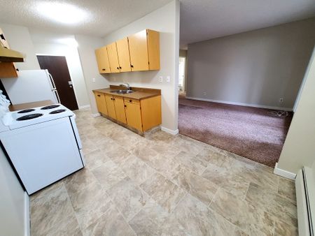 Pet Friendly 1 Bedroom 1 Bathroom Apartment - Photo 2