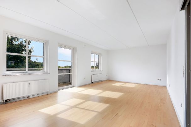 Filosofhaven 9, 3. tv. - Photo 1