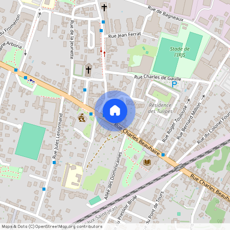 ST JEAN DE LA RUELLE (45140)