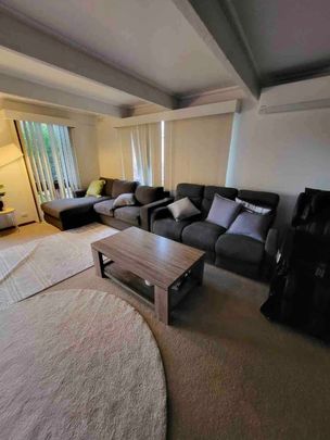 Paynesville - Photo 1