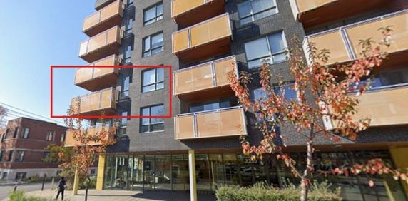 Condo 4 ½ à louer (890pc/83m²) - Rosemont - Photo 2