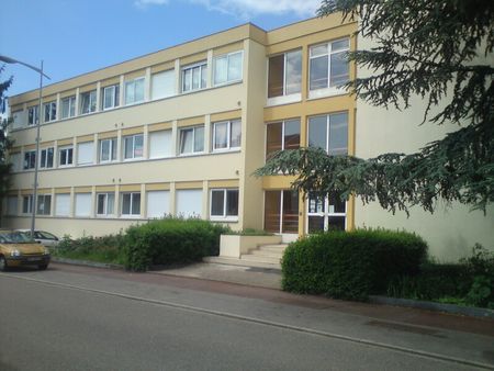 Location Appartement 1 pièce 29m² VANDOEUVRE LES NANCY 54500 - Photo 3