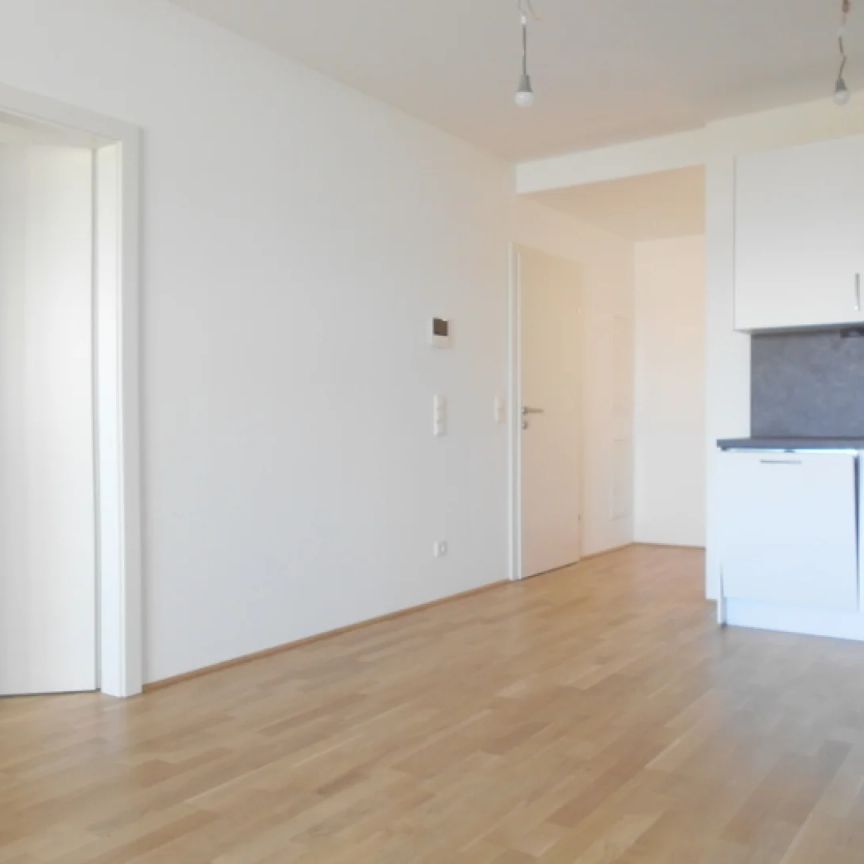 Q5 am PARK großartiger Ausblick 2ZI mit 12m² Ost/ Balkon - Photo 1