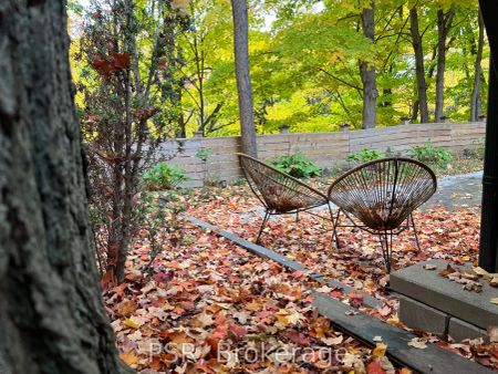 2B Roycrest Avenue #Bsmt - Photo 5