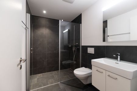 Schöne Wohnung mit Sitzplatz - Foto 2