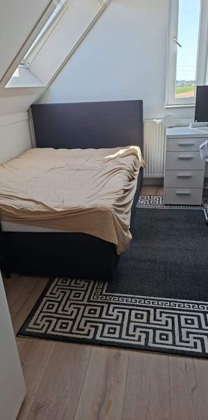 Studio meublé Van Limburg Stirumlaan, Hillegom - À louer - Foto 1