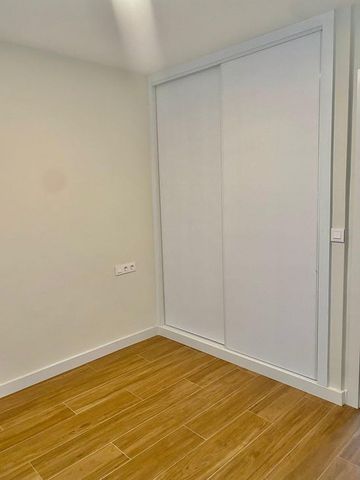 Sevilla, Andalusia 41013 - Photo 3