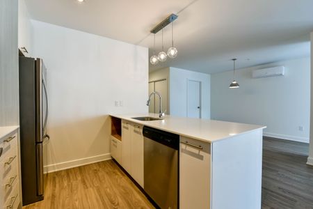 9675 Av. Papineau - Photo 4