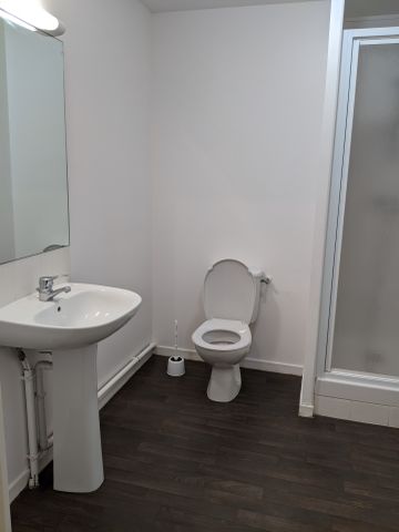 Location Appartement 1 pièce 28m² GUER 56380 - Photo 4