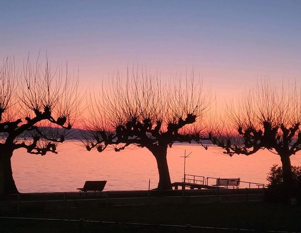 Zwischenmiete Seeblick bis Mitte Juni - Photo 1