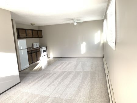 Studio Apartment in Riverside Meadows! - Photo 4