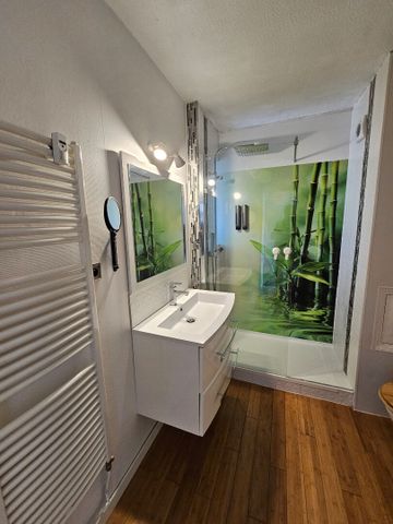 Location Appartement 1 pièce 28m² BESANCON 25000 - Photo 4