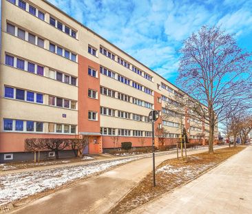 Mieszkanie 2-pok. Bałuty Teofilów, ul. Traktorowa - Photo 3