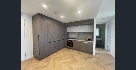 Half minute walk to Town Hall Station & Near New& Timber Floor & One bedroom plus study room - Photo 3