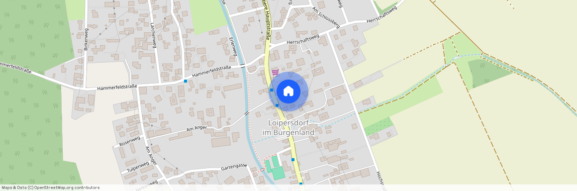 Obere Hauptstraße 12/1, 7410, Loipersdorf-Kitzladen