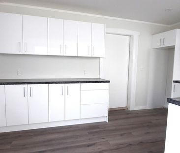 4 Rotherham Terrace, Miramar - Photo 6