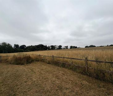 3 bedroom bungalow to rent - Photo 5