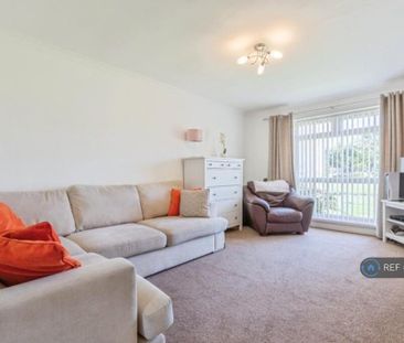 3 bedroom terraced house to rent - Photo 6