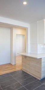 4 1/2 - Montréal (Hochelaga / Maisonneuve) - 1 995 $/mois - Photo 3