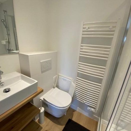 Appartement à louer, 1 pièce - Angers 49100 - Photo 1