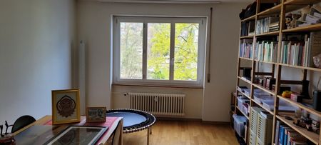 gemütliches Zuhause mitten in Luzern - Foto 2