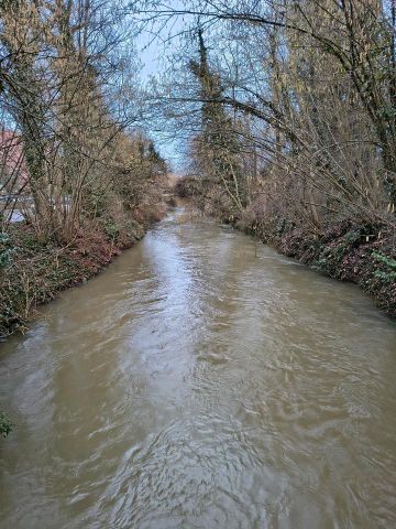 Schön gelegene 2 Zimmer Wohnung in Aachnähe - Foto 4