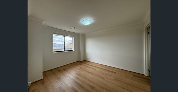 Timber Floor Installed Great 4 Bedroom House - Photo 1